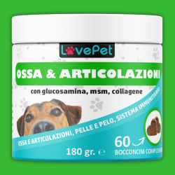 OSSA & ARTICOLAZIONI