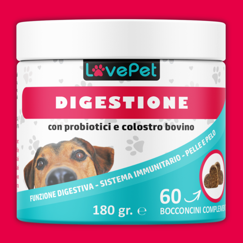 DIGESTIONE